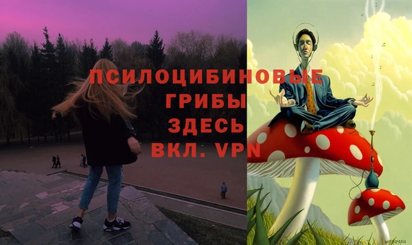 марки lsd Белокуриха